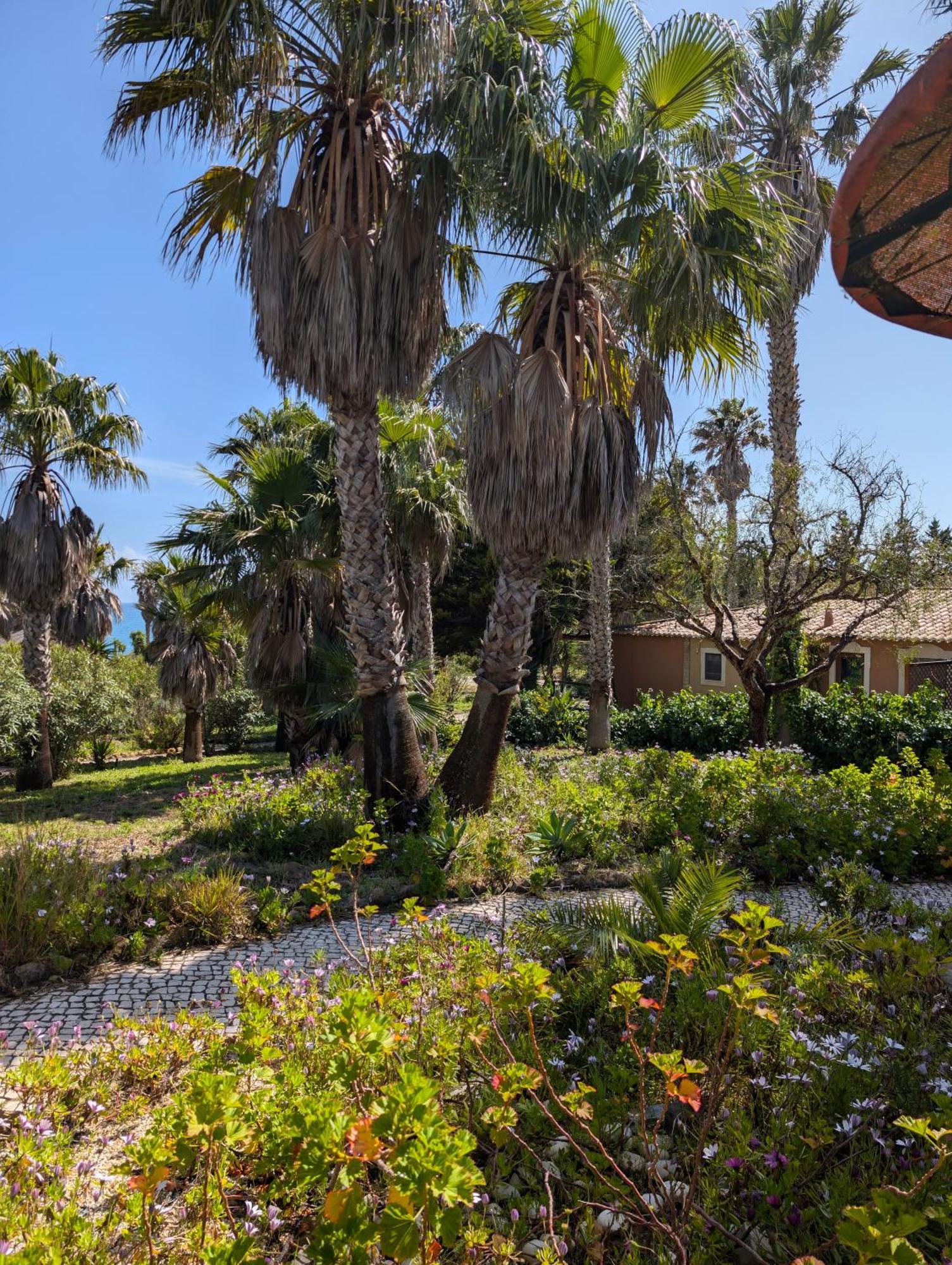 Quinta Do Mar - Country & Sea Village Luz エクステリア 写真