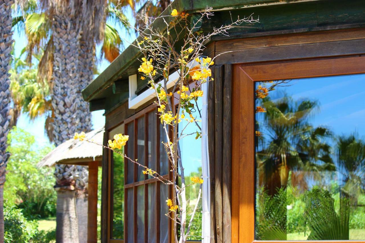Quinta Do Mar - Country & Sea Village Luz エクステリア 写真
